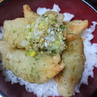 ギョーザ天どん～ネギ塩だれで～